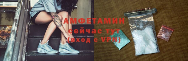 индика Нея