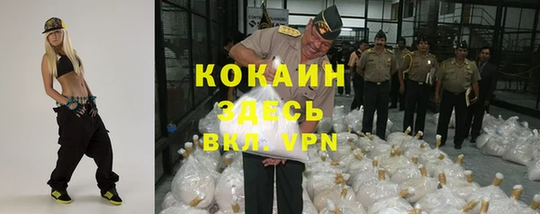spice Гусь-Хрустальный