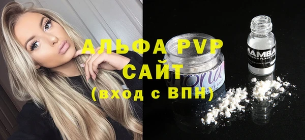 индика Нея